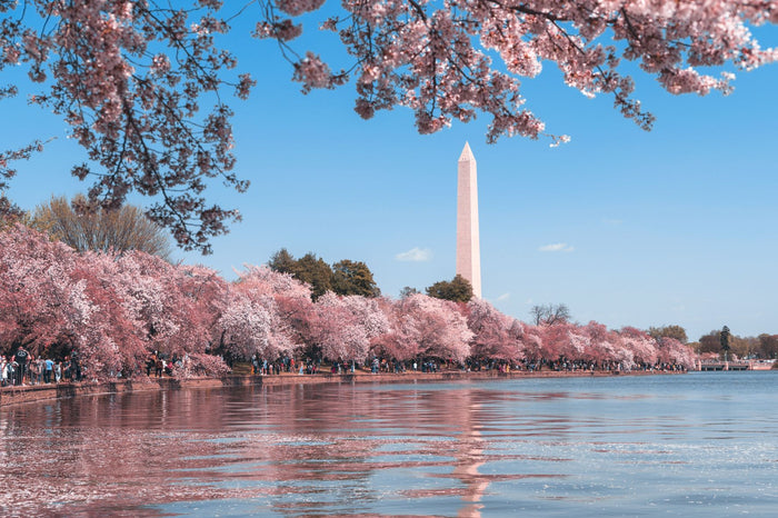 8 Best Professional Resume Writing Services - Washington, D.C.