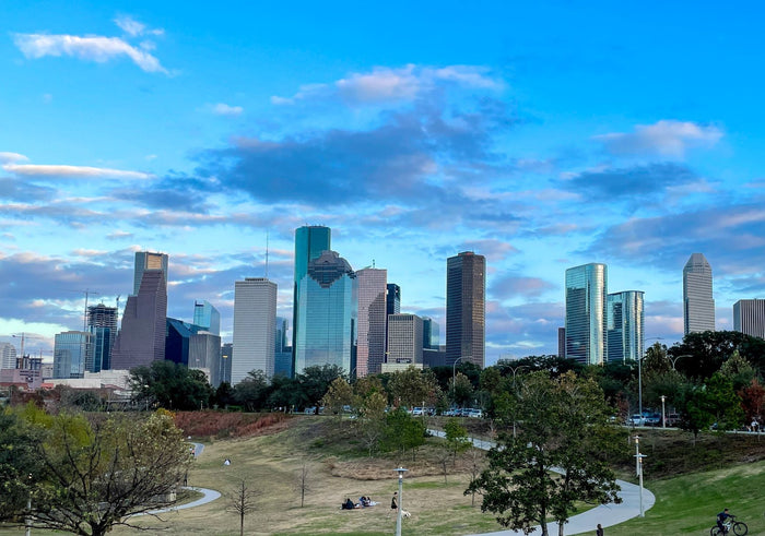 Top 10 Executive Resume Writers - Houston