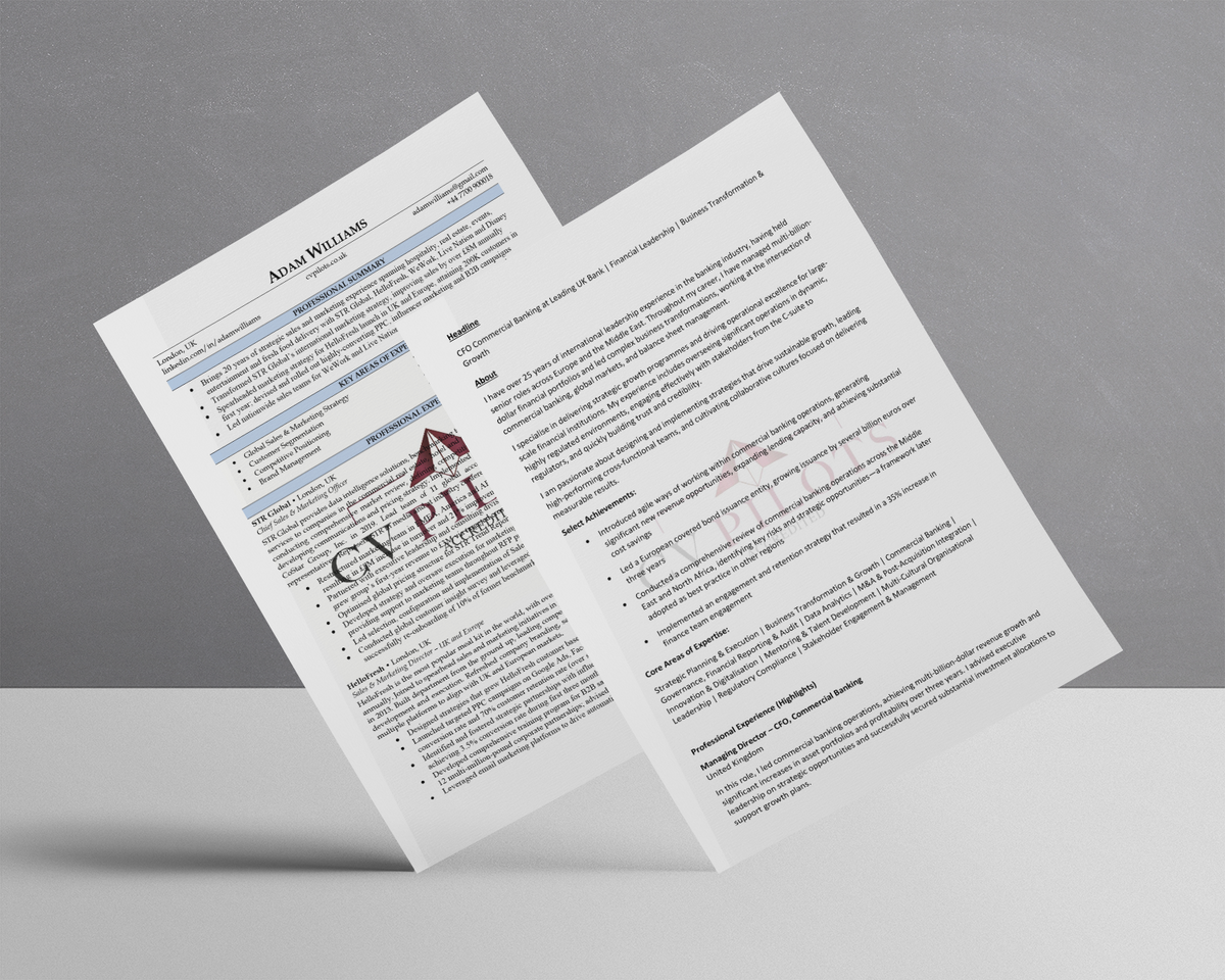 Business Class CV amp LinkedIn - Cv LI 1200x1200