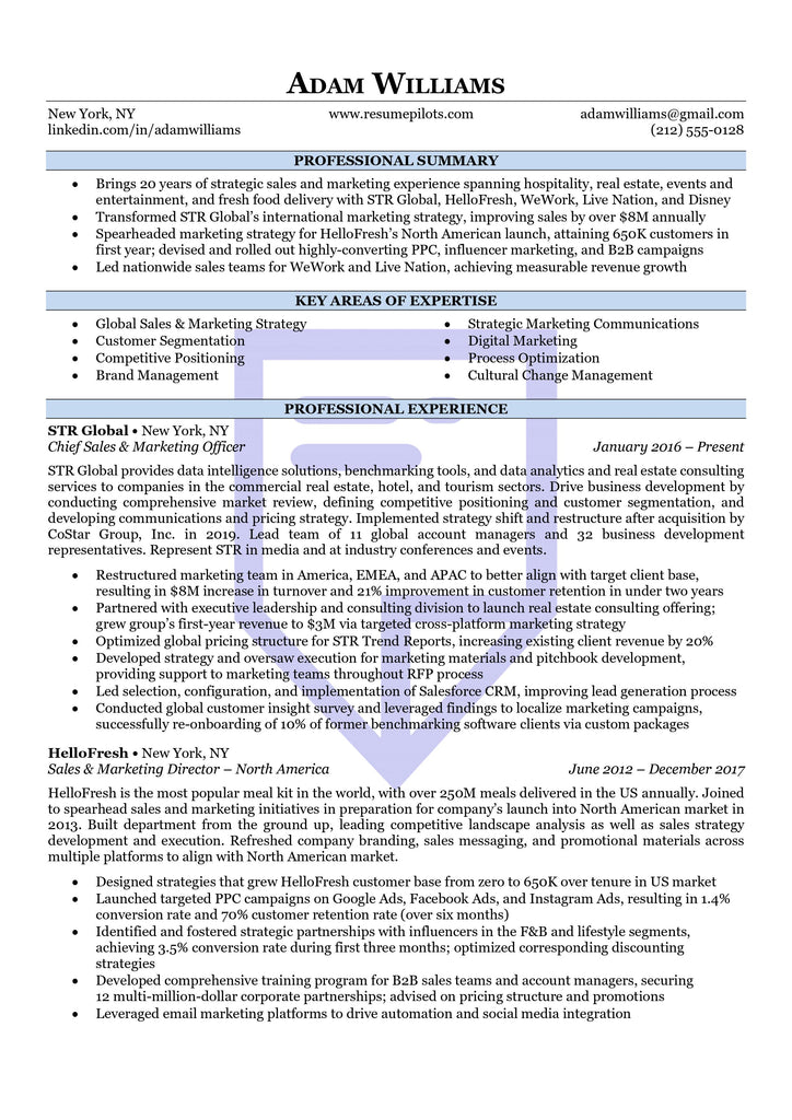Accent Executive Resume Template Download