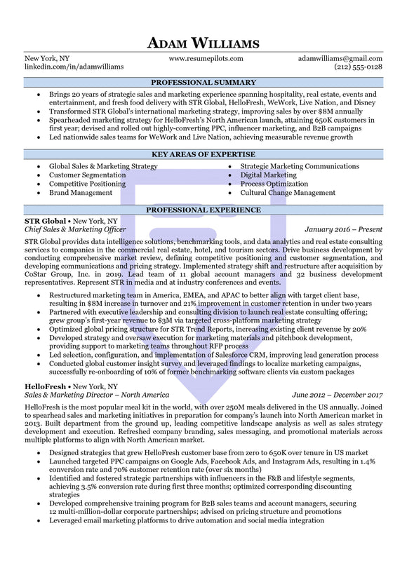 Accent Executive Resume Template Download